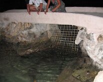 2006-12 Karibien-182