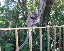 2006-03 Rio-063
