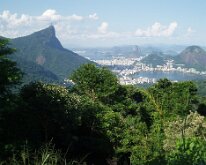 2006-03 Rio-090