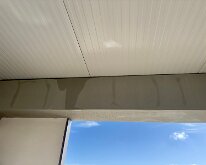 IMG_2845